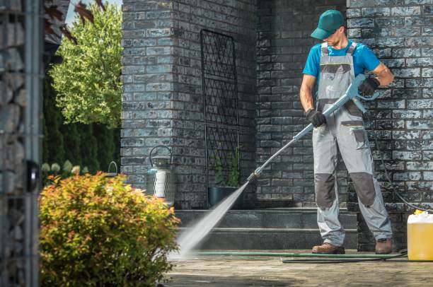 Best Animal Enclosure Cleaning  in Williamston, MI