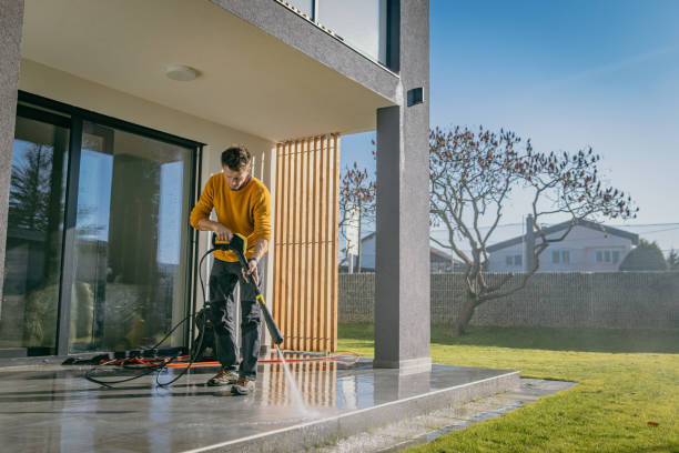 Best Pre-Holiday Cleaning  in Williamston, MI